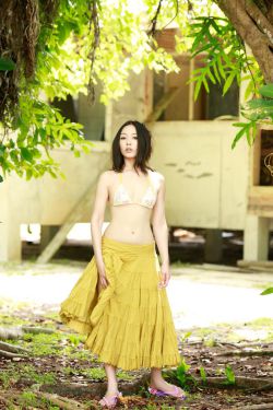 四方馆电视剧免费观看