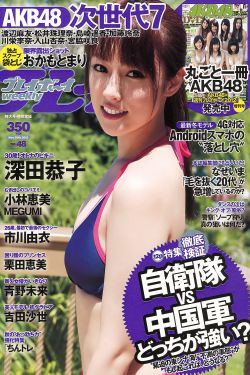 怀壁其罪