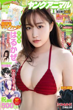 95神雕侠侣