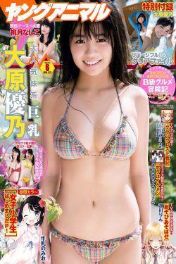 私藏浪漫 电视剧